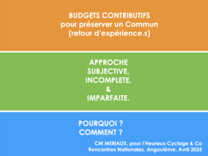 Les Budgets Contributifs, couv
